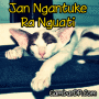 Kumpulan Gambar Dp Bbm Ngantuk Pengin Tidur