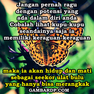gambar kata kata inspirasi